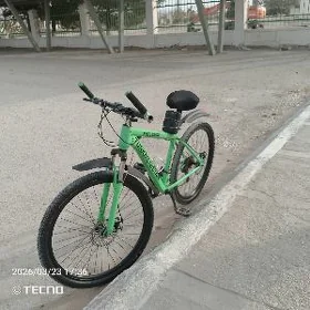 tigir