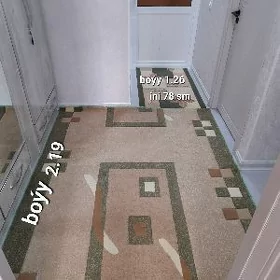 Haly