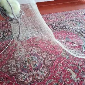 nakitka setka