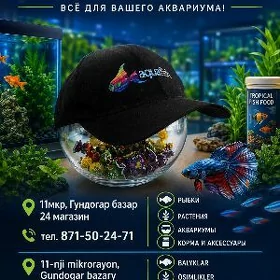 Аквариум