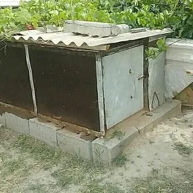 yatak