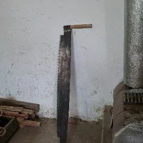 Бычгы дружба ...