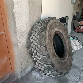 Ayak