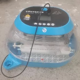 inkubator
