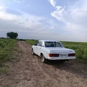 Gaz 31 1993