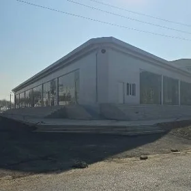 Анау-Änewde zdanie satylya