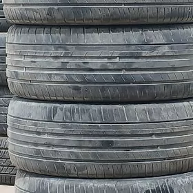 Pakryşks 225/45/17