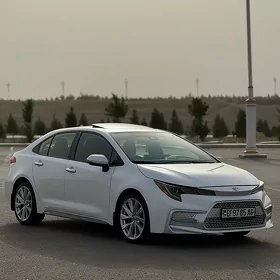 Toyota Corolla 2019