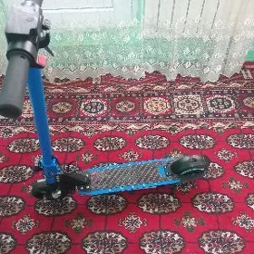 tokly samkat