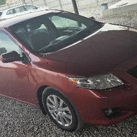 Toyota Corolla 2010