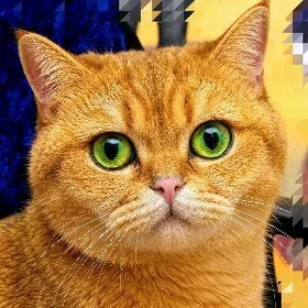Элитный БРИТАНСКИЙ КОТ