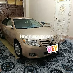 Toyota Camry 2010
