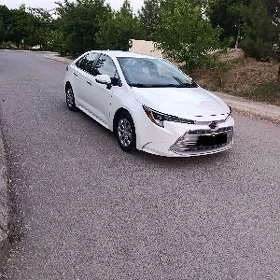 Toyota Corolla 2021