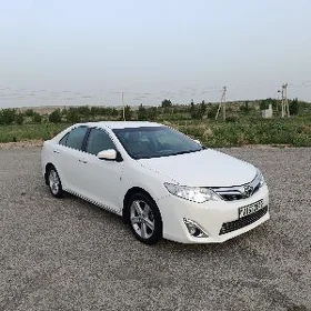 Toyota Camry 2013
