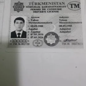 Prawa yitdi
