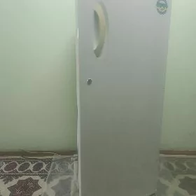 LG expresscool holodilnik