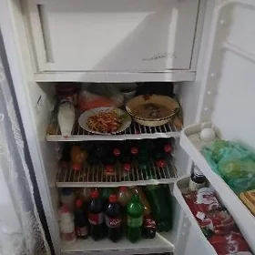 Haladilnik