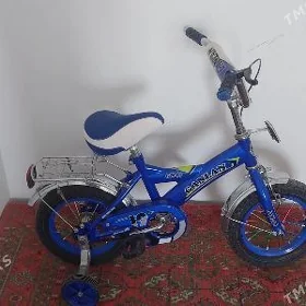 Tigir 12 lik tazeje