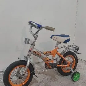 Tigir 12 lik