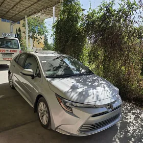 Toyota Corolla 2024