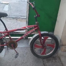 tigir gyssagly zapcas duga uly