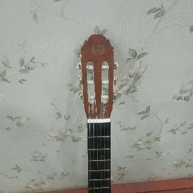 Classic gitara