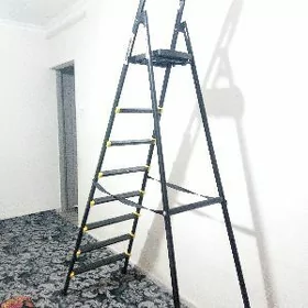 Lestnisa merdiwan