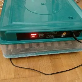 Inkubator 64 yumurtgalyk