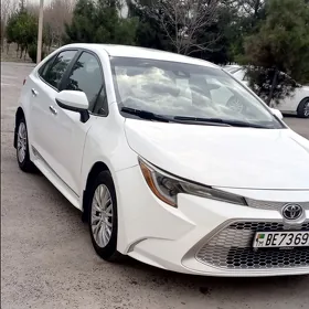 Toyota Corolla 2021