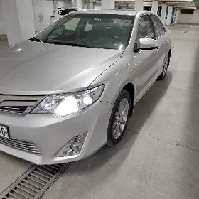 Toyota Camry 2014