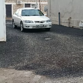 Toyota Camry 2001