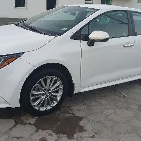 Toyota Corolla 2024