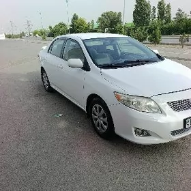 Toyota Corolla 2009