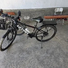 spartivni velik