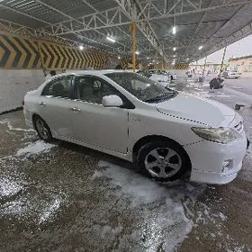 Toyota Corolla 2009