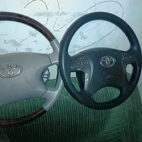 karolla rol halijy