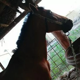 At