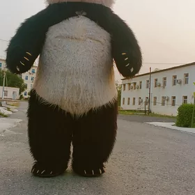 SATLYK MİŞKA