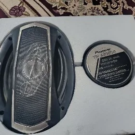 pioneer kalonk