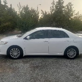 Toyota Corolla 2010