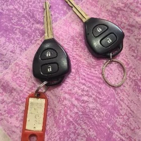corolla acar zawadyskoy