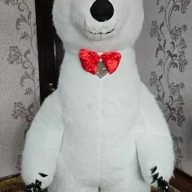 Ak aýy