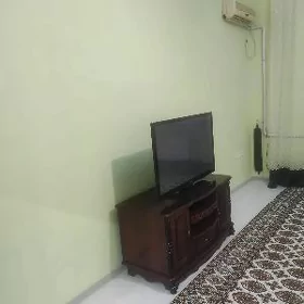 ARENDA ELITKA 