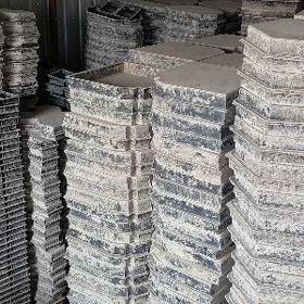 Galyp pilite