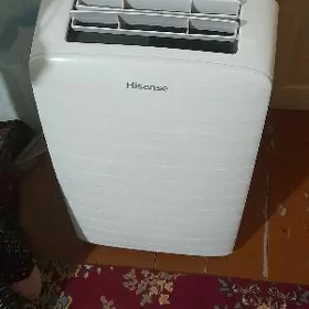 Haysens kasaner 40 lyk