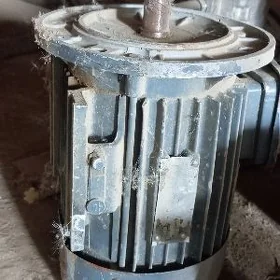 Elektro diwitil
