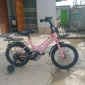 çaga tigir