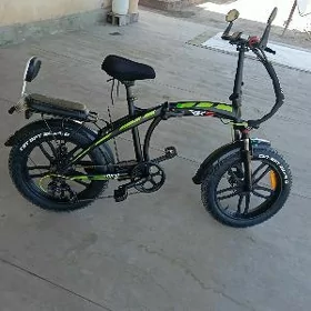 tokly tigir