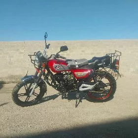Fekon FK150-8G 2023