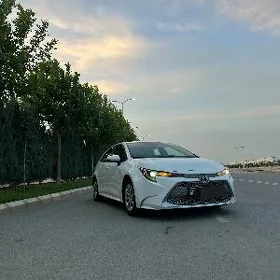 Toyota Corolla 2022